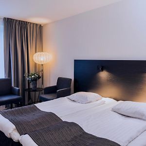 Habitación Individual Estándar